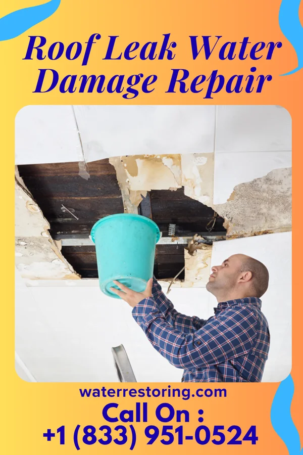 Roof Leak Water Damage Repair in Annex, OR